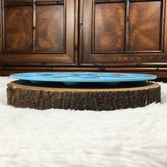 NWOT Robin's Egg Blue Deviled Egg Tray - Picture 5 of 6